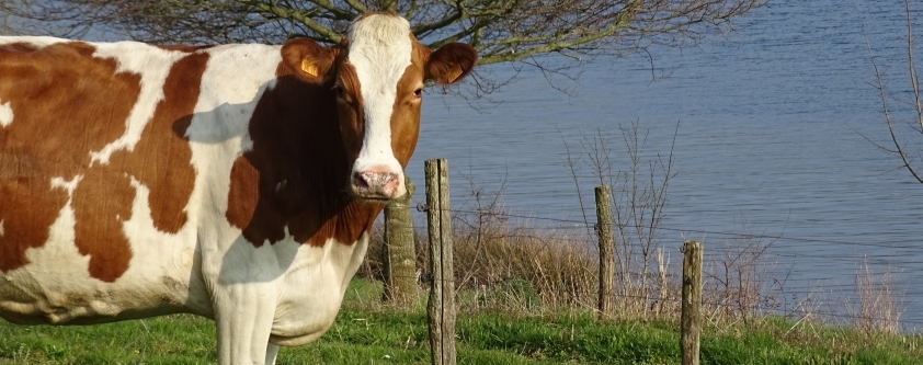 Visite <br /> de ferme