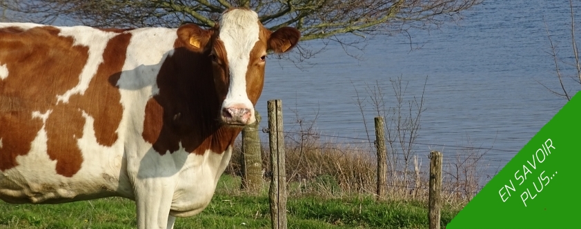 Visite <br /> de ferme