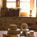 The range of farmhouse cheese