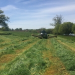 Grass mowing