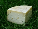 Hard cheese with fenugreek