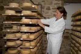 Presentation of the cheese dairy