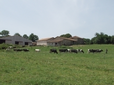 The farm of Javernac - GAEC de la Moulde
